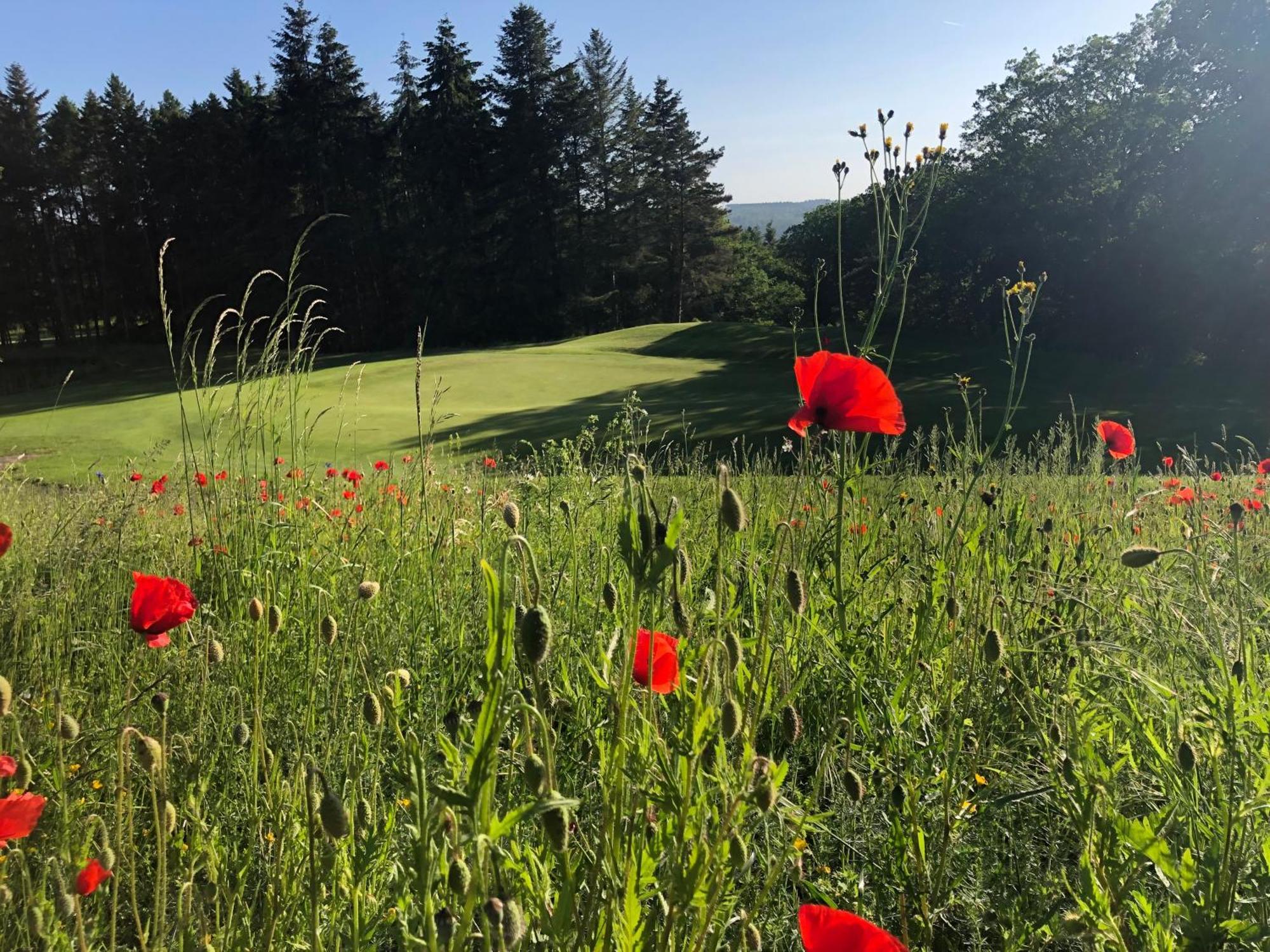 Gaestehaus Koehler Waldsolms Eksteriør billede