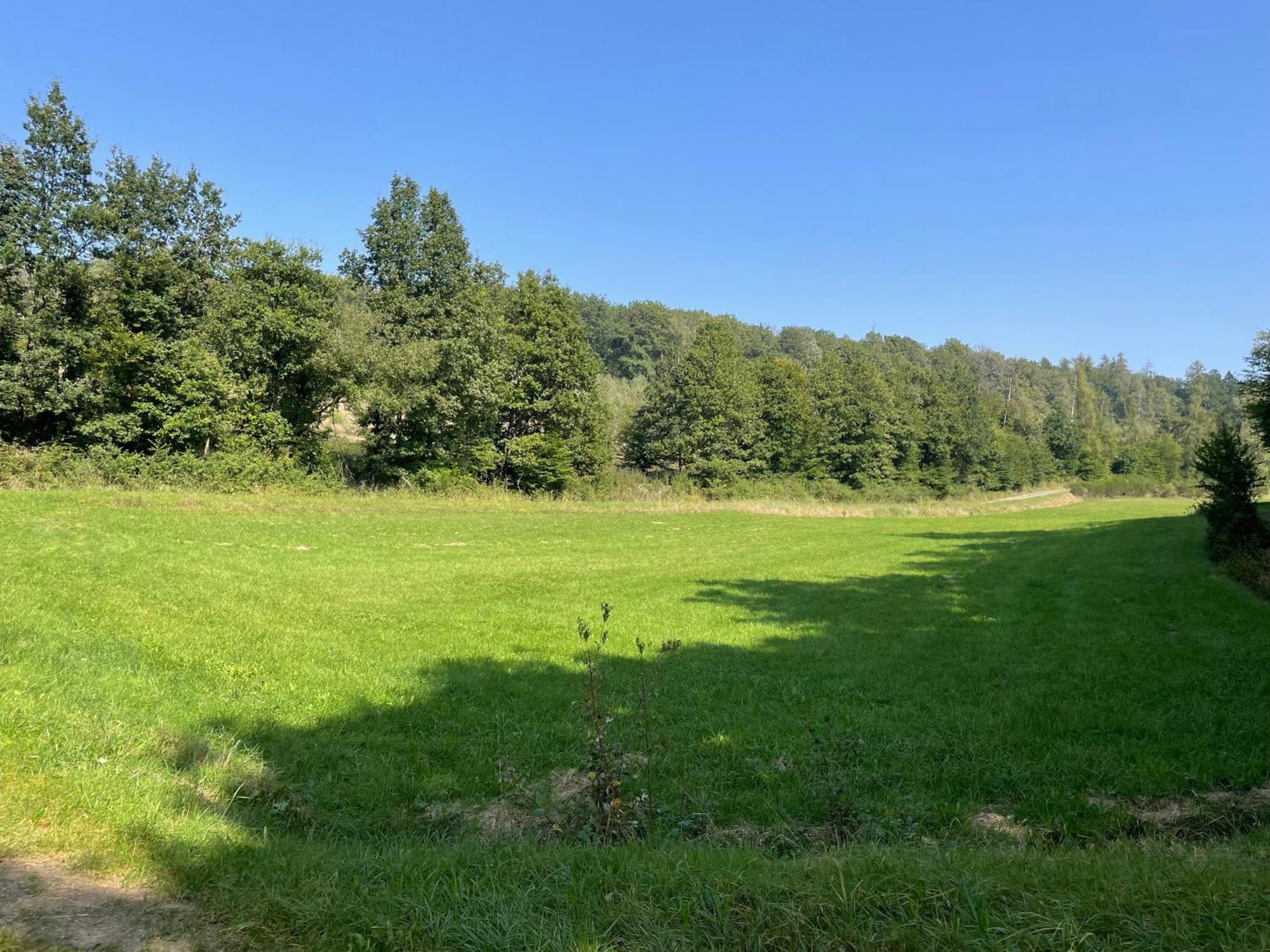 Gaestehaus Koehler Waldsolms Eksteriør billede